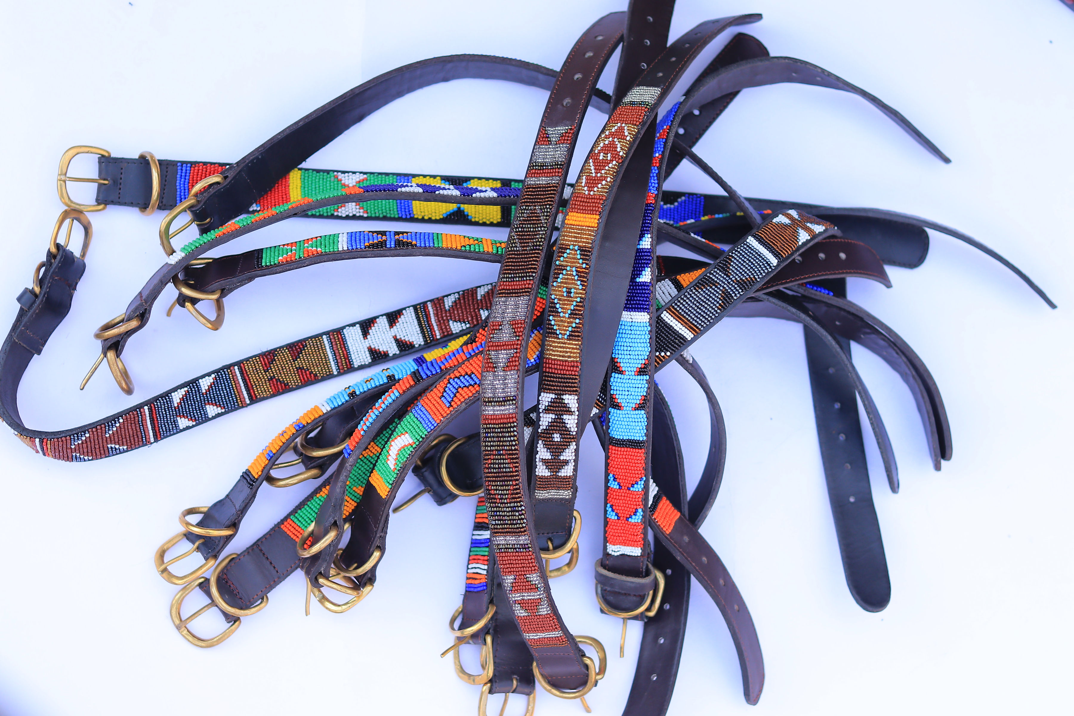 Dog Collars collection